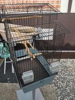 Te koop vogelkooi met staander, Enlèvement, Cage à oiseaux