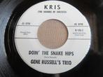 Gene Russell's Trio – Foggy Bottom / Doin' The Snake Hips, CD & DVD, Vinyles Singles, Enlèvement ou Envoi, Single, Utilisé, 7 pouces