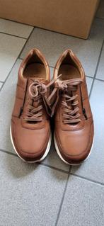 Nieuwe heren sneakers,  Solidus, Bruin, Nieuw, Ophalen of Verzenden, Sneakers