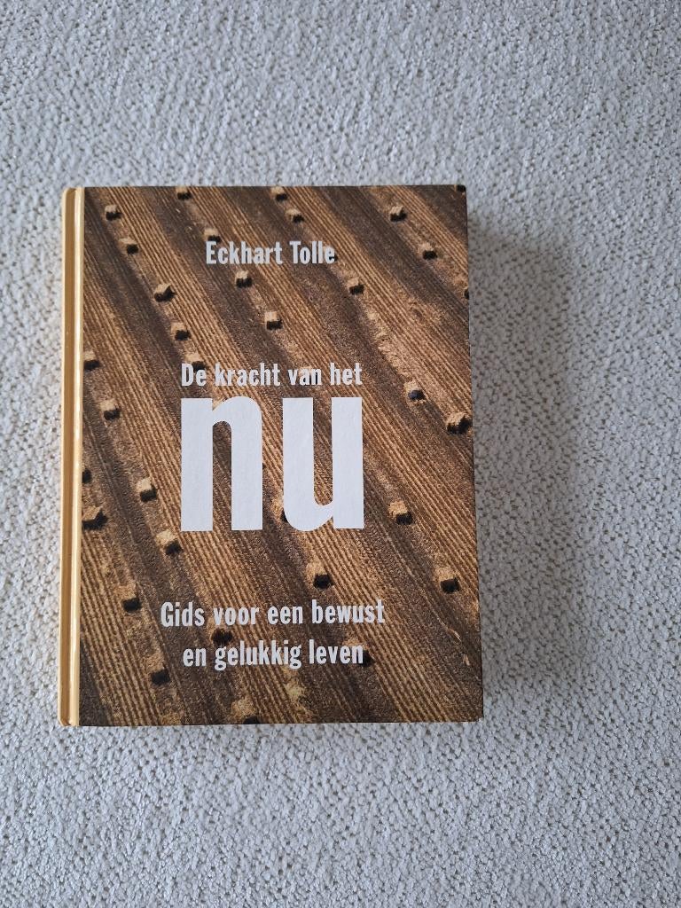 boek Eckhart Tolle - de kracht van het NU, Livres, Ésotérisme & Spiritualité, Enlèvement ou Envoi, Utilisé, Eckhart Tolle, Spiritualité en général