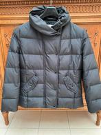 Korte zwarte winterjas, maat S, merk Raven, Vêtements | Femmes, Vestes | Hiver, Enlèvement, Porté, Taille 36 (S)