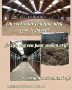 pensionstal aangeboden / stalling vrij Hulten nabij Tilburg, Stalling, 4 paarden of pony's of meer