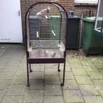 Papagaaienkooi, Dieren en Toebehoren, Ophalen of Verzenden, Gebruikt, Metaal, Vogelkooi