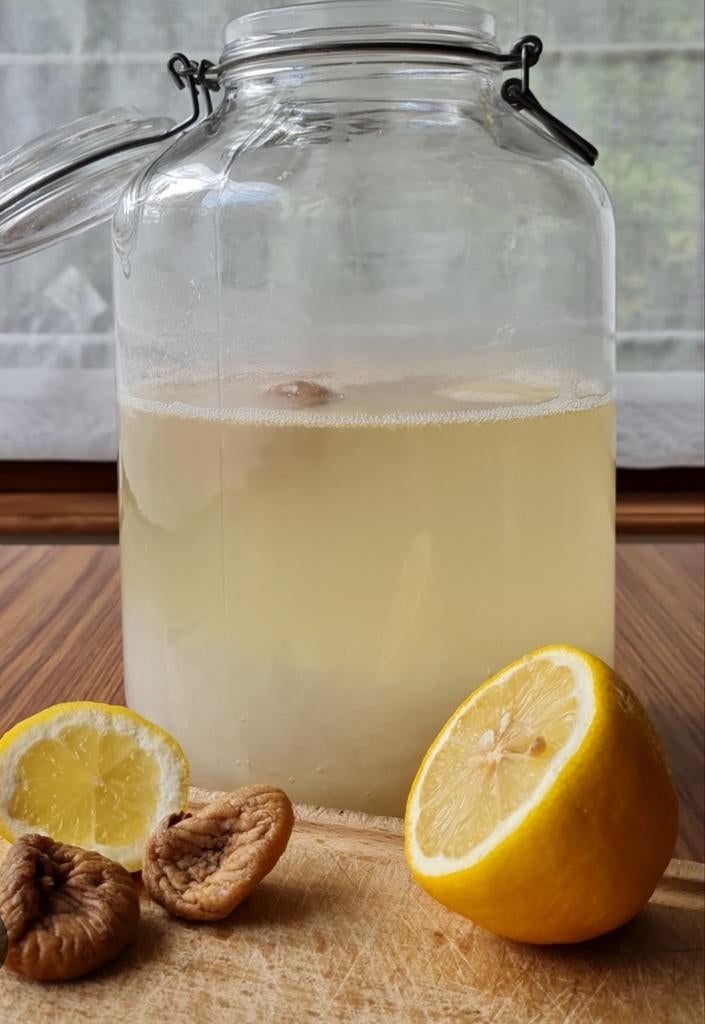 grains de kéfir de fruits a donner, Divers, Produits alimentaires