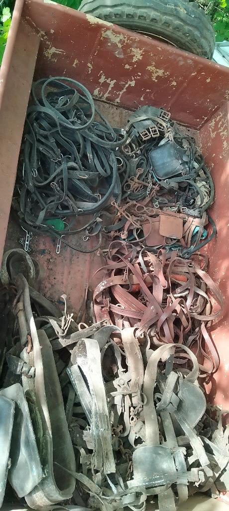 A donner Harnais, Bricoles, mors, ..., Animaux & Accessoires, Enlèvement, Utilisé