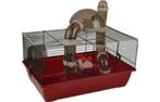 Kooien (Hamsters, Cavia's, Fretten, Ratten & Muizen), Dieren en Toebehoren, Knaagdieren en Konijnen | Hokken en Kooien, Ophalen