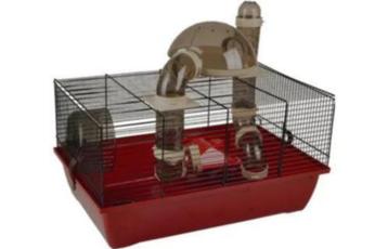 Kooien (Hamsters, Cavia's, Fretten, Ratten & Muizen) beschikbaar voor biedingen