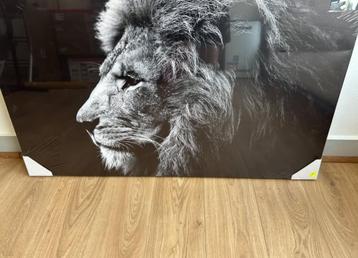 Canvas met leeuwenprint beschikbaar voor biedingen