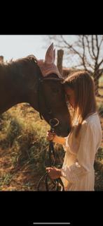 Lieve ponny, Dieren en Toebehoren, Pony's, Zadelmak, 11 jaar of ouder, Recreatiepony, D pony (1.37m tot 1.48m)