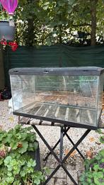 Terrarium of vis aquarium, Dieren en Toebehoren, Ophalen, Gebruikt, Terrarium of Paludarium