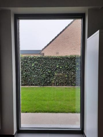 vast raam + rolluik + dorpel (1240 x 2170) beschikbaar voor biedingen