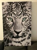 Canvasdoek kader 115x 75 cm, Ophalen
