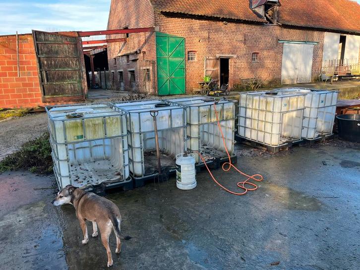 Dierenhok. Hondenhok varkenshok schapenhok, Dieren en Toebehoren, Schapen, Geiten en Varkens