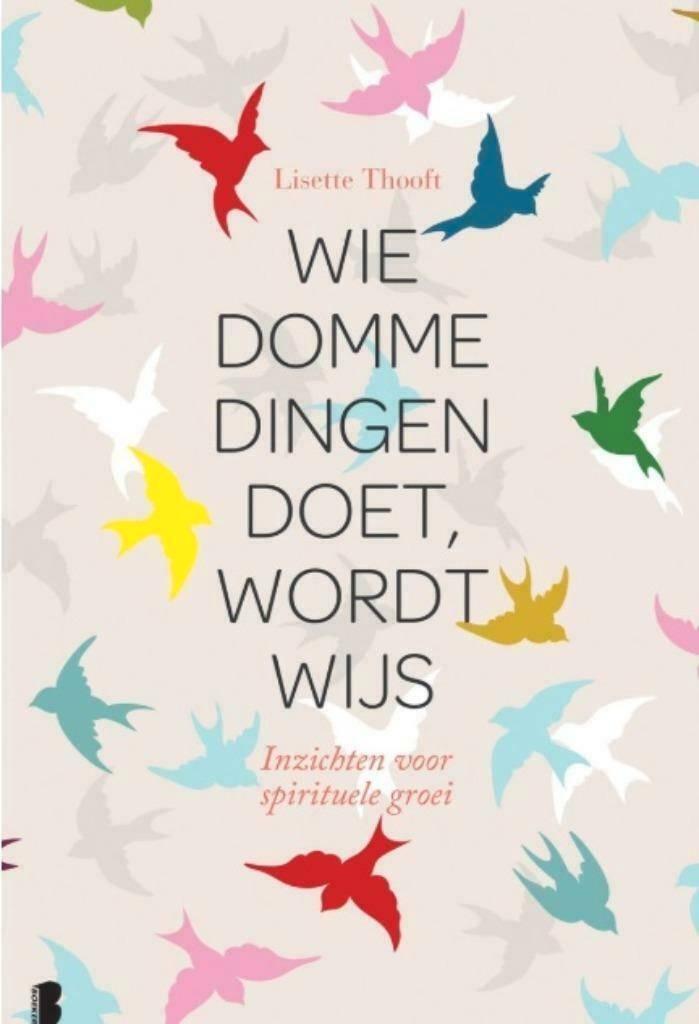 Wie domme dingen doet wordt wijs, Lisette Thooft BK, Boeken, Esoterie en Spiritualiteit, Zo goed als nieuw, Verzenden