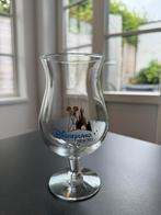 Dinseyland Paris Resort glas, Ophalen of Verzenden, Nieuw