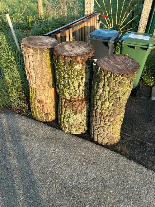 Boomstammen (om op te zitten), Tuin en Terras, Brandhout, Ophalen