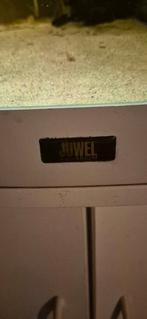 Aquarium te geef, Dieren en Toebehoren, Ophalen, Gebruikt, Gevuld zoetwateraquarium