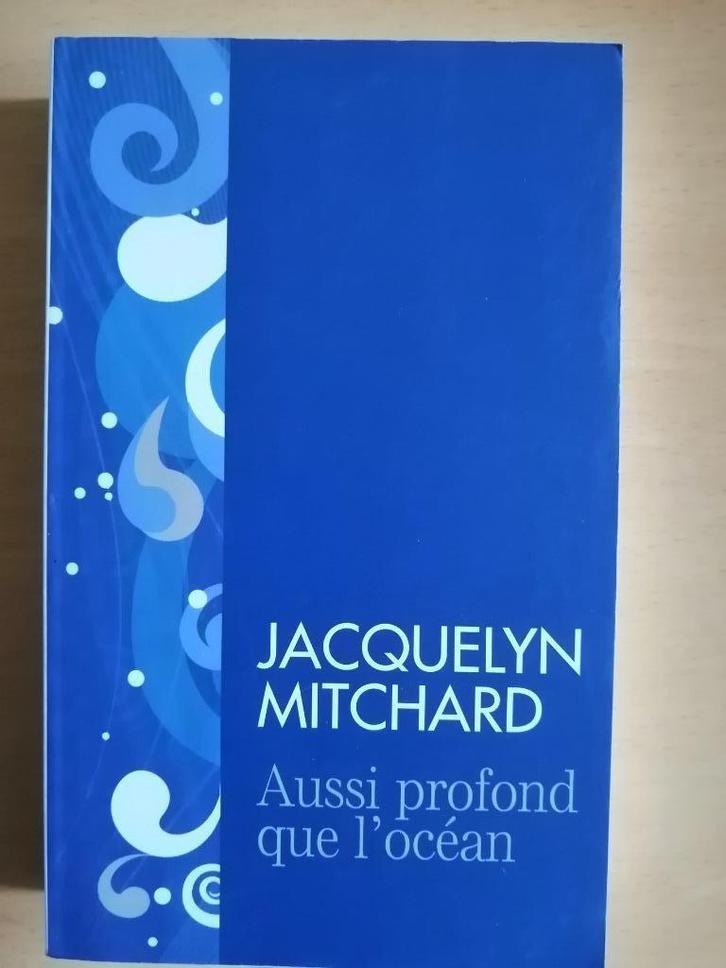 Aussi profond que l'océan de Jacquelyn Mitchard, Livres, Romans, Enlèvement ou Envoi