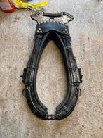 Garelen en hoofdstel, Dieren en Toebehoren