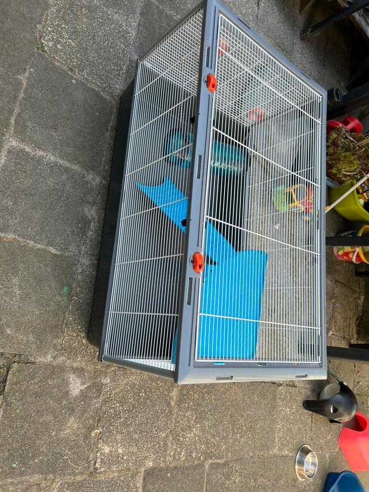 Ferplast knaagdierkooi, Dieren en Toebehoren, Knaagdieren en Konijnen | Hokken en Kooien, Gebruikt, Kooi, Ophalen
