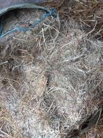 Kleine balen voordroog, Dieren en Toebehoren, Ophalen, Vee