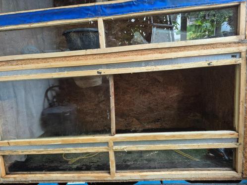 Terrarium 125x62x62, Dieren en Toebehoren, Reptielen en Amfibieën | Toebehoren, Gebruikt, Terrarium of Paludarium, Ophalen of Verzenden