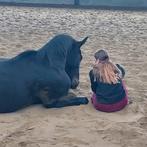 Verzorgster aangeboden, Dieren en Toebehoren