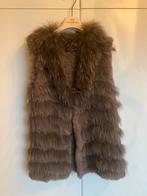 Oakwood small/medium, Kleding | Dames, Bodywarmers, Bruin, Nieuw, Oakwood, Ophalen