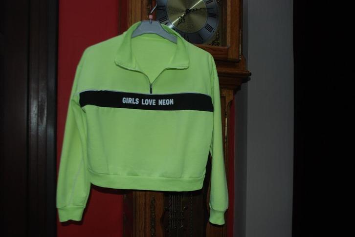 Sweatshirts voor meisjes van T11/12 jaar voor €3 per stuk!, Kinderen en Baby's, Kinderkleding | Maat 152, Zo goed als nieuw, Meisje