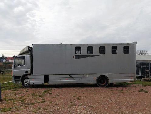 Daf paardenvrachtwagen, Dieren en Toebehoren, Paarden en Pony's | Trailers en Aanhangwagens, Gebruikt, Ophalen of Verzenden