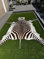 Taxidermie zebra vel, Antiek en Kunst, Curiosa en Brocante, Ophalen of Verzenden