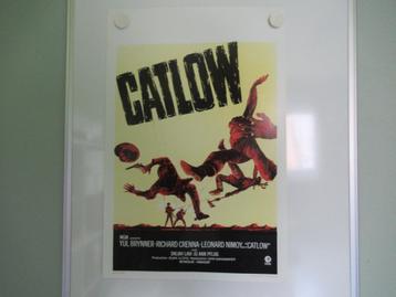 Affiche du film CATLOW