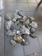 Grijze breukstenen, Dieren en Toebehoren, Vissen | Aquaria en Toebehoren, Ophalen