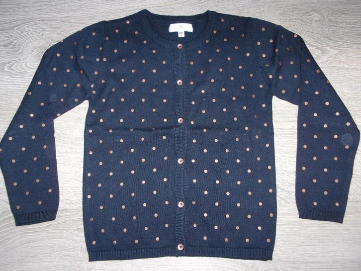 SPLINTERNIEUW meisjes giletje. Maat 128, Enfants & Bébés, Vêtements enfant | Taille 128, Neuf, Fille, Pull ou Veste, Enlèvement ou Envoi