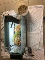 aquarium, Dieren en Toebehoren, Vissen | Aquaria en Toebehoren, Ophalen, Zo goed als nieuw, Leeg aquarium