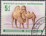 MONGOLIË - Bactrische kameel, Enlèvement ou Envoi, Affranchi