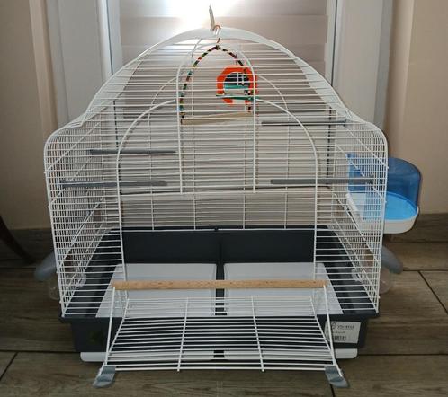 Grote vogelkooi met complete accessoires, Dieren en Toebehoren, Vogels | Hokken en Kooien, Zo goed als nieuw, Ophalen of Verzenden