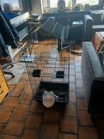 Vphelkooi, Dieren en Toebehoren, Ophalen, Vogelkooi
