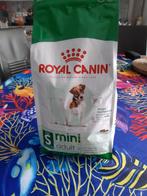 Royal Canin S Mini pour adulte, Chien, Enlèvement