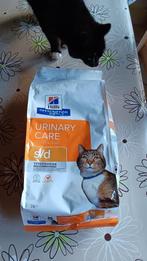 s/d urinary care 3kg, Enlèvement, Chat