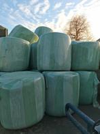 Bollen mais, Ophalen