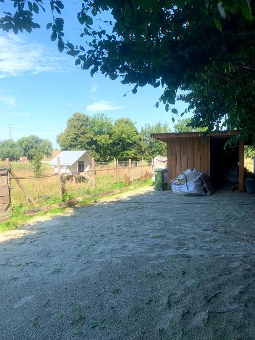 Paardenpension, Dieren en Toebehoren, Stalling en Weidegang, Stalling, Weidegang, Accessoires, 1 paard of pony
