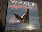 Whale - Giant of the Ocean (Book) Eric S. Grace, Boeken, Ophalen, Nieuw