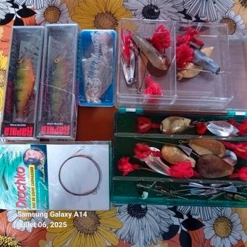 Roofzuchtig assortiment  beschikbaar voor biedingen