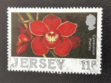 Jersey 1988 - fleurs - orchidée