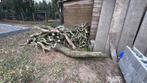 Snoeihout, 3 tot 6 m³, Ophalen, Overige houtsoorten, Takken