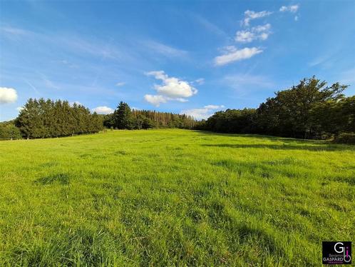 Grond à vendre à Harsin, Immo, Gronden en Bouwgronden, 1000 tot 1500 m²