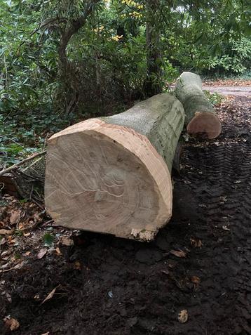 EIKEN BALKEN EN PLANKEN beschikbaar voor biedingen