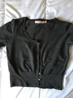 Gilet grijs Hampton Bays maat S, Kleding | Dames, Ophalen of Verzenden, Zo goed als nieuw, Hampton Bays, Maat 36 (S)