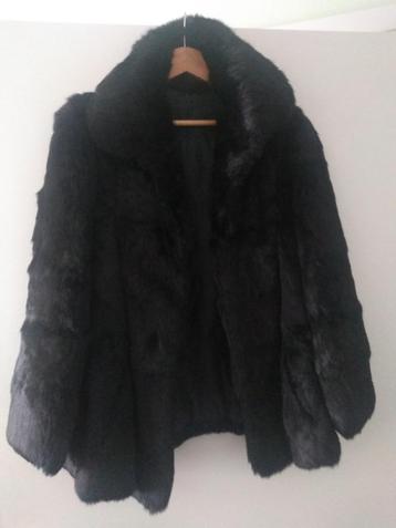 Zwart konijnenjack beschikbaar voor biedingen